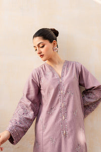 Faro 2Pc - Embroidered Khaddar Dress