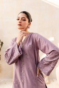 Faro 2Pc - Embroidered Khaddar Dress