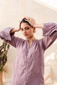 Faro 2Pc - Embroidered Khaddar Dress