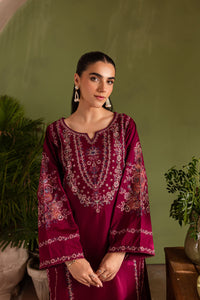 Betty 2Pc - Embroidered Khaddar Dress