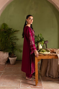 Betty 2Pc - Embroidered Khaddar Dress