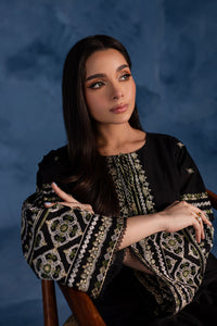 Black Block 2Pc - Embroidered Khaddar Dress